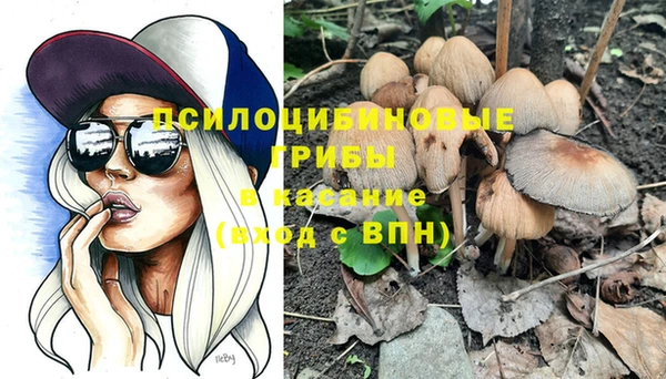 круглые Белокуриха