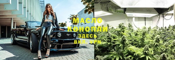 гидра Артём